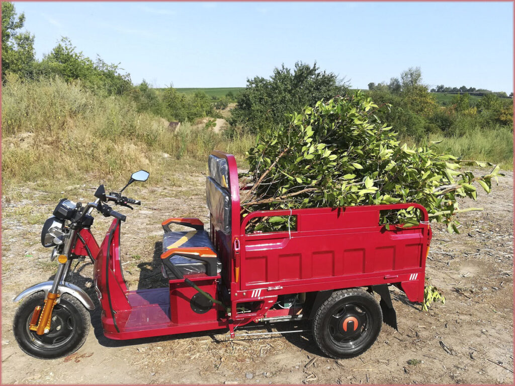 Nutzung des Cargo Runner Lastenrads zum Transport von Grünschnitt