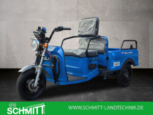 Cargo Runner Rikscha E-Lastenrad in Blau