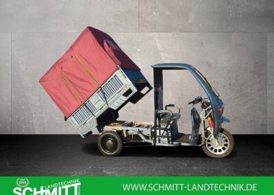 Seitenansicht Cargo Runner Big mit roter Plane